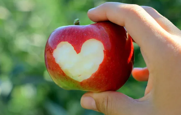 Сердце, яблоко, рука