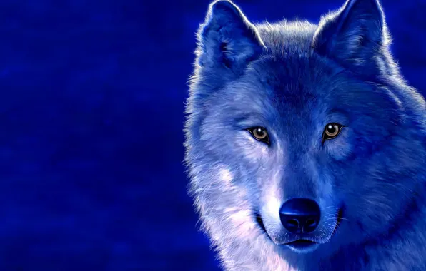 Синий, рисунок, волк