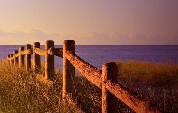 Grass, sea, ocean, seascape, fence, wind, sunny, wood fence