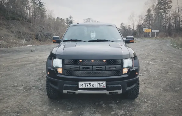 Car, машина, лес, внедорожник, ford, форд, raptor, пикап
