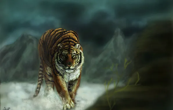 Картинка кошка, взгляд, тигр