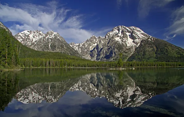 Лес, горы, озеро, отражение, Вайоминг, Wyoming, Гранд-Титон, Grand Teton National Park