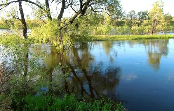 Вода, облака, деревья, река, остров, Лето, river, trees