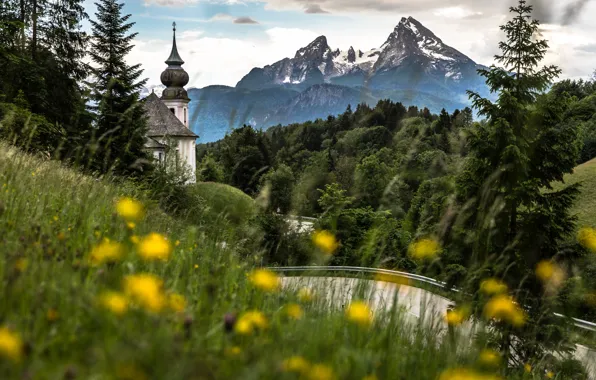 Картинка трава, пейзаж, цветы, горы, природа, Германия, Бавария, Альпы