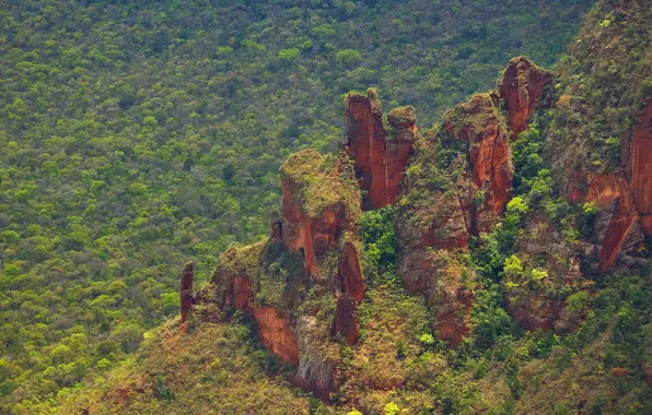 Деревья, горы, скалы, Бразилия, заповедник, Parque Nacional da Chapada dos Guimarães, штат Мату-Гросу