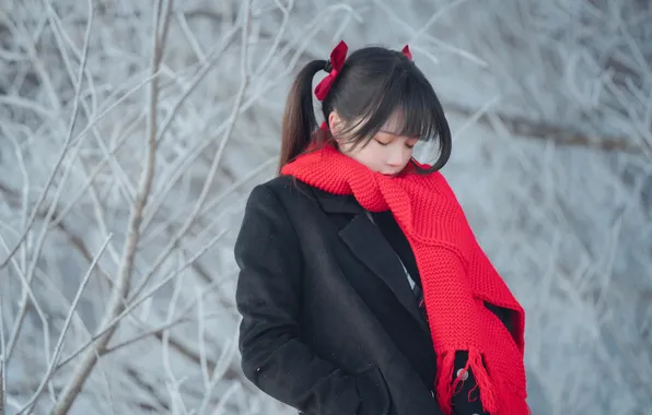 Beautiful, Asian, Model, Winter, Snow, Woman, Mist, Cute