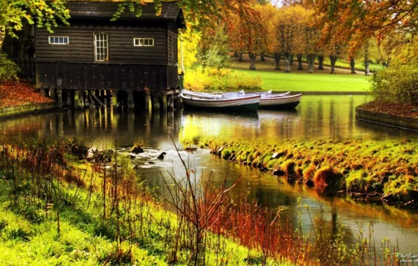 Картинка осень, лес, деревья, природа, река, фото, домик