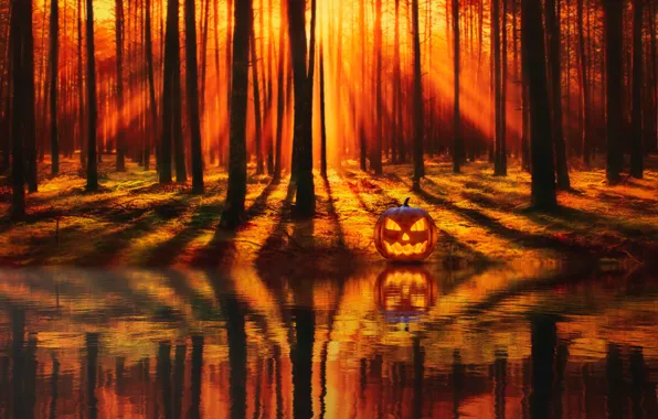 Картинка Природа, Деревья, Тыква, Halloween, Хэллоуин, Nature, Праздник, Celebration