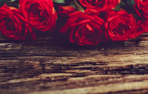 Цветы, розы, красные, red, wood, flowers, roses
