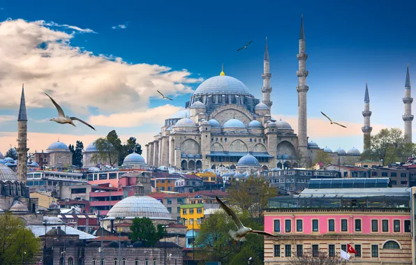 Картинка небо, облака, птицы, чайки, дома, башни, храм, Стамбул