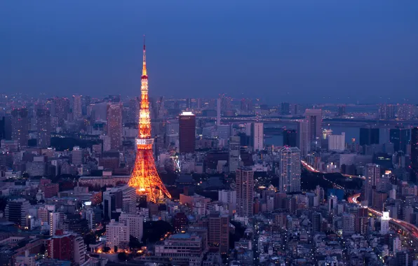 Картинка ночь, огни, Токио, панорама