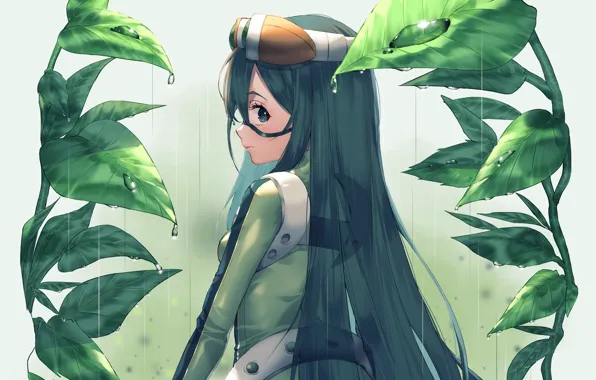 Листья, девушка, лягушка, Boku no Hero Academia, Моя геройская академия, Фроппи