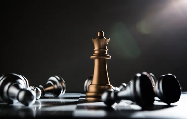 Chess, victory, king