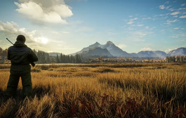 Картинка пейзаж, природа, охотник, the hunter, The Hunter: Call of The Wild