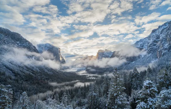 Картинка зима, лес, облака, горы, долина, Калифорния, Йосемити, California