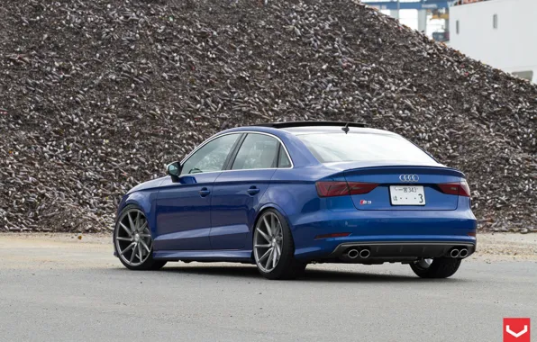 Audi, Vossen