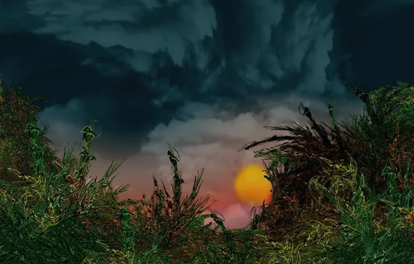 Картинка солнце, облака, растения