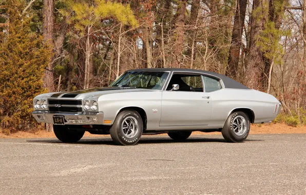 Купе, Chevrolet, шевроле, Coupe, 1970, Chevelle, Hardtop, LS6