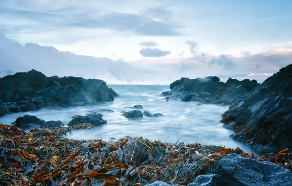 Море, пейзаж, скалы, берег