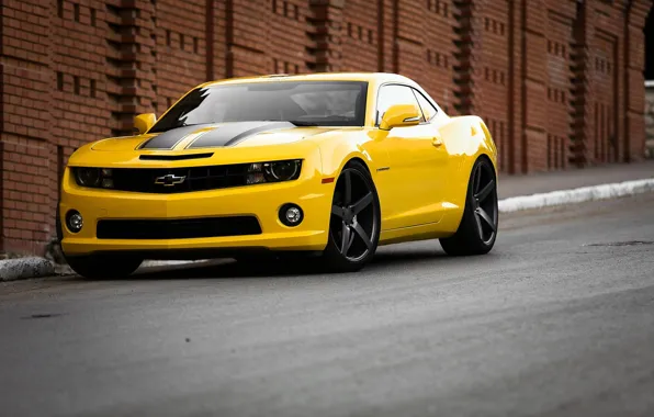 Дорога, Желтый, Chevrolet, Полосы, Колеса, Muscle, Light, Camaro