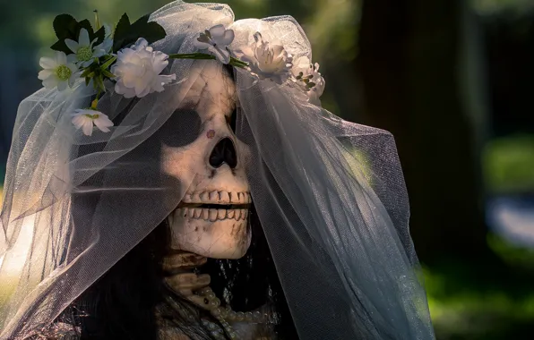 Скелет, невеста, halloweeen
