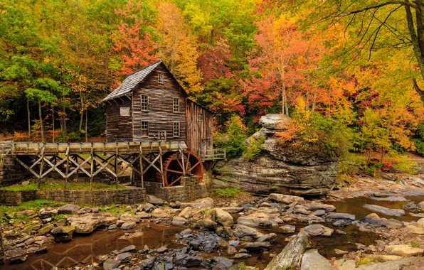 Осень, США, Babcock State Park, водяная мельница, New River Gorge, округ Фейетт, штат Западная Виргиния