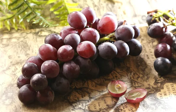 Ягоды, карта, виноград, гроздь