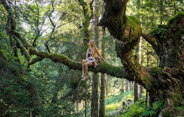 Лес, девушка, дерево