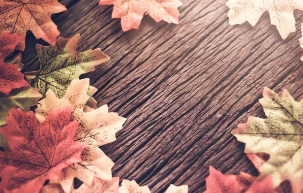 Осень, листья, фон, дерево, wood, background, autumn, leaves