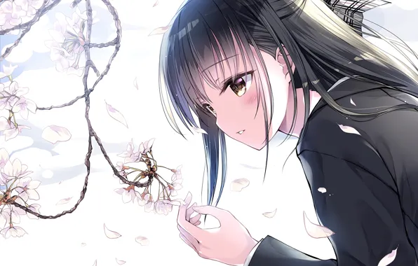 Girl, long hair, brown eyes, anime, beautiful, pretty, sakura, face