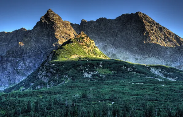 Mountains, rocks, vegetation