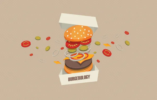 Фон, коробка, мясо, овощи, бургер, Burgerology