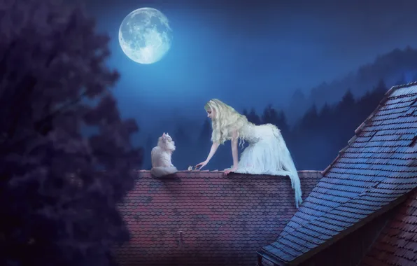 Девушка, ночь, луна, ситуация, мышь, крыши, на крыше, белая кошка