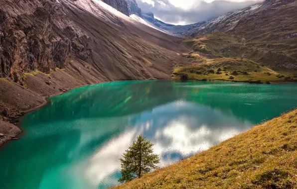 Трава, вода, облака, свет, горы, озеро, отражение, дерево