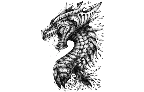 Dragon, head, teeth, scales