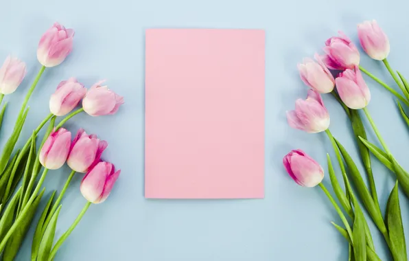 Картинка цветы, тюльпаны, розовые, pink, flowers, tulips, spring
