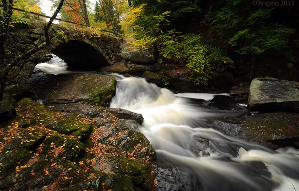 Картинка осень, лес, листья, мост, река, камни, поток