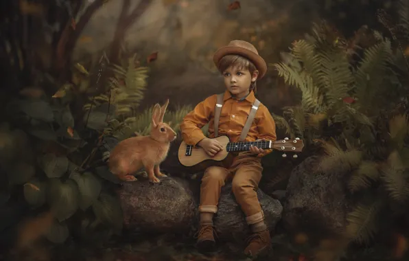 Лес, природа, камни, животное, растительность, гитара, мальчик, кролик