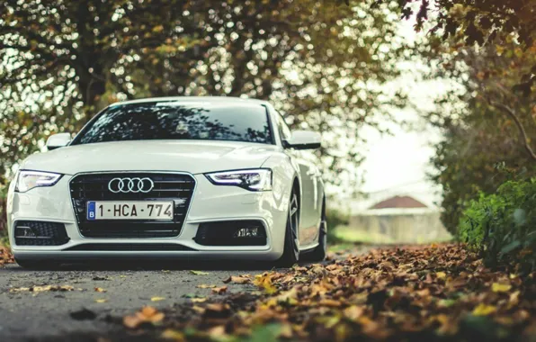 Audi, класс, машина крутая, для пацана