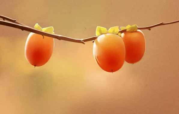 Картинка ветка, ягода, арт, плод, хурма, persimmon