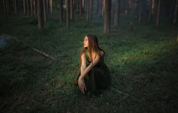 Лес, природа, Алиса, сидит, Евгений Смольский