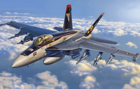 USA, US Navy, F/A-18E Super Hornet, Боевой самолёт