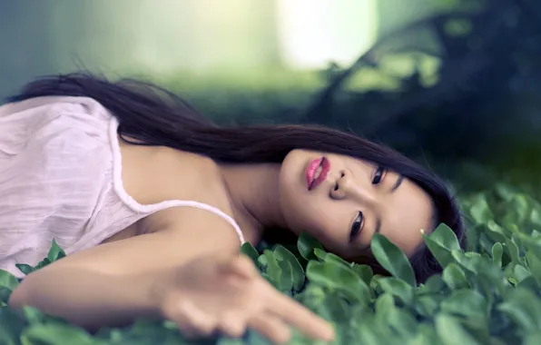 Зелень, девушка, брюнетка, азиатка, лежит на траве, Lisa Ma