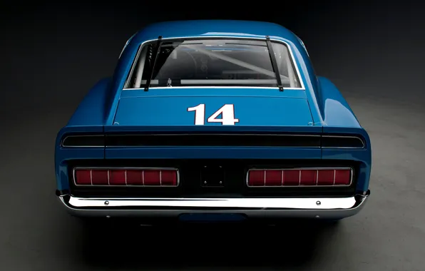 Картинка Shelby, rear, GT350, 1969 Shelby GT350