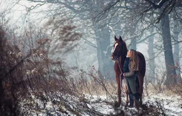 Картинка зима, лес, девушка, деревья, лошадь