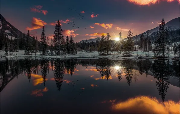 Картинка зима, лес, небо, закат, горы, птицы, озеро, отражение