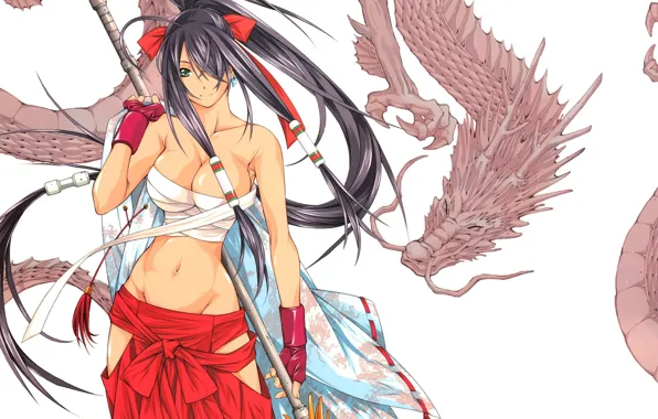 Девушка, дракон, Ikki-Tousen