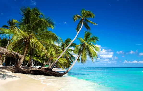 Картинка песок, море, пляж, солнце, пальмы, берег, summer, beach
