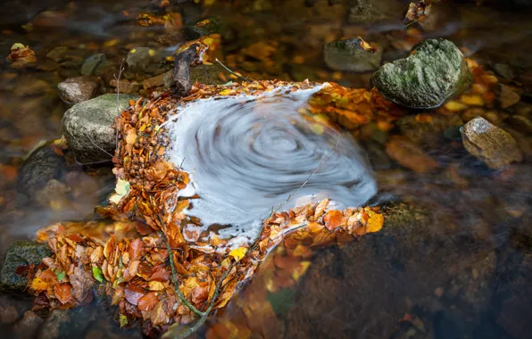 Осень, вода, ручей, камни, течение, желтые, водоворот, речка