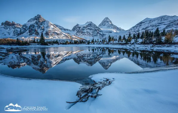 Картинка зима, лес, снег, горы, озеро, Alberta, Canada, British Columbia